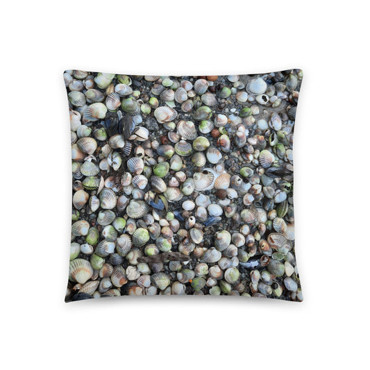 Coastal decor Seashell pillow