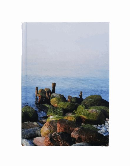 Coastal journal shore stones