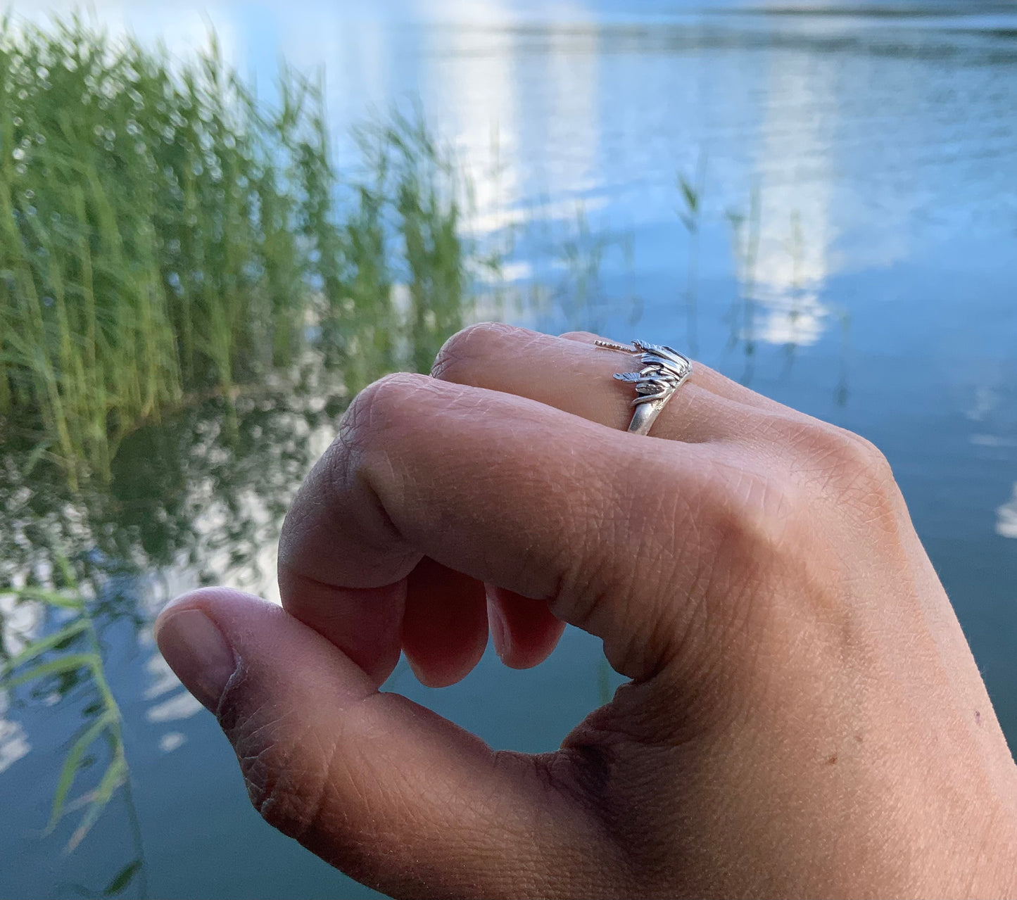 Silver Reedbed ring