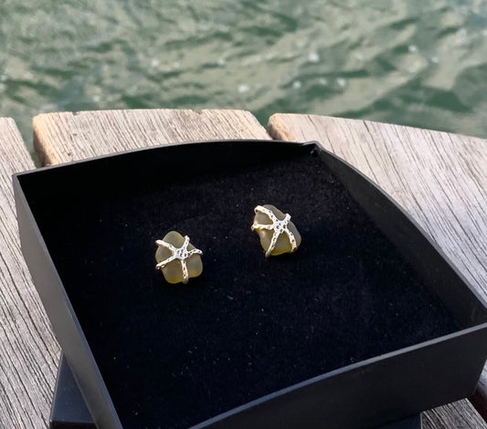 Starfish earrings seaglass, stud